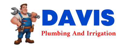 Trusted plumber in DELIA